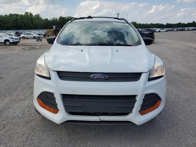 2013 Ford Escape S VIN: 1FMCU0F79DUD79273 Lot: 55231904