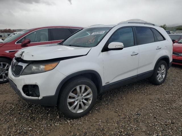 Global Auto Auctions: 2011 KIA SORENTO BA