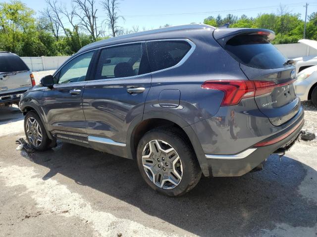 2022 Hyundai Santa Fe Limited VIN: KM8S7DA21NU042488 Lot: 56422664