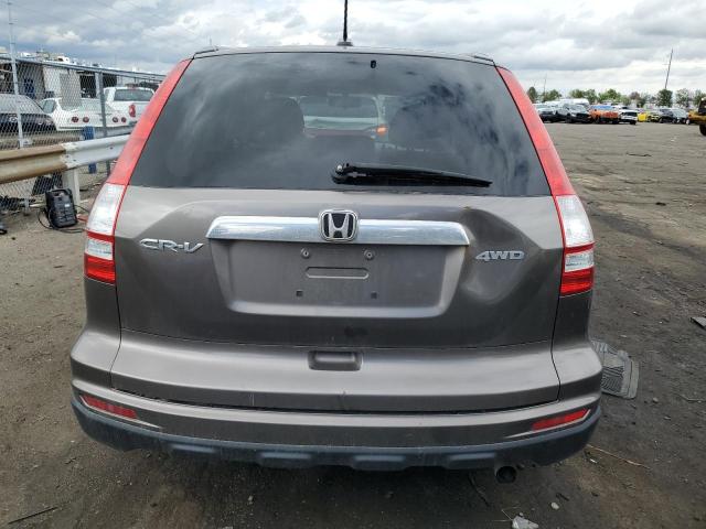 2010 Honda Cr-V Exl VIN: 5J6RE4H79AL021537 Lot: 55190304