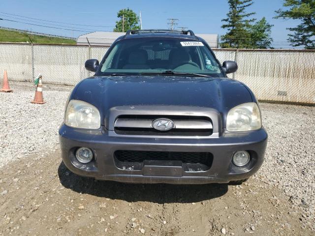 2006 Hyundai Santa Fe Gls VIN: KM8SC13E16U069497 Lot: 55473864