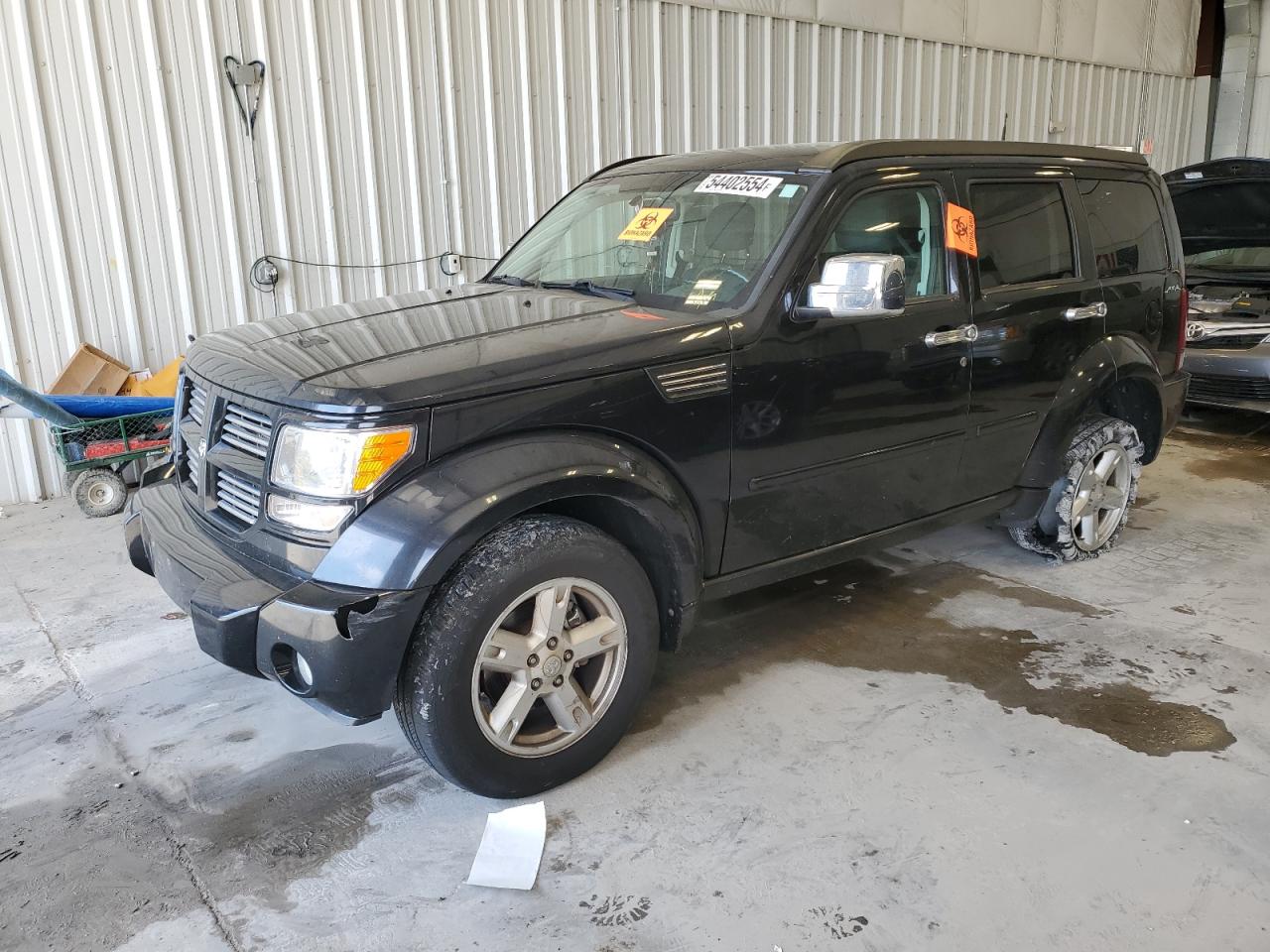 1D4PU5GK4BW568231 2011 Dodge Nitro Sxt