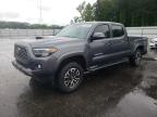2023 TOYOTA TACOMA DOU - 3TMDZ5BN9PM150600