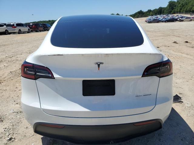 2023 Tesla Model Y VIN: 7SAYGAEE1PF597196 Lot: 56284534