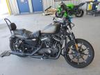 2021 HARLEY-DAVIDSON XL883 N - 1HD4LE211MB412528
