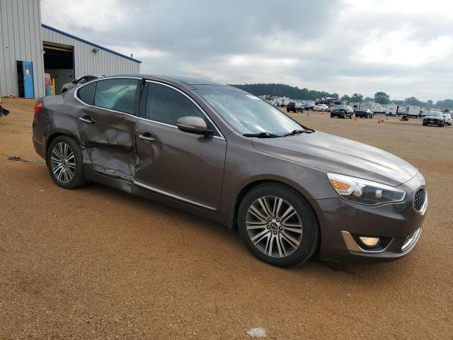 2014 Kia Cadenza Premium VIN: KNALN4D79E5166411 Lot: 56584744