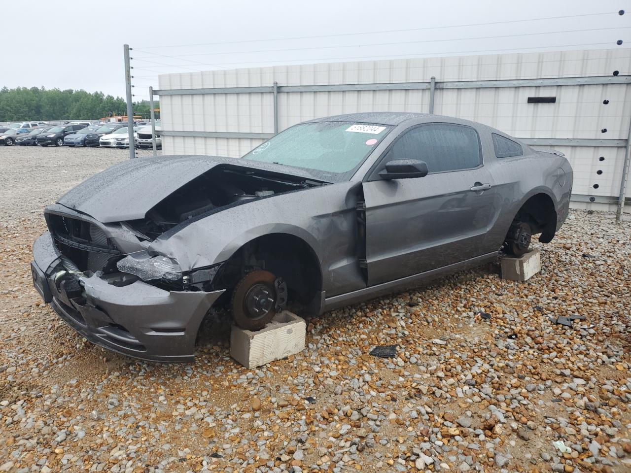 1ZVBP8AM9D5213264 2013 Ford Mustang