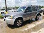 FORD ESCAPE XLT photo