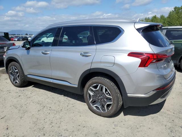 2023 Hyundai Santa Fe Limited VIN: 5NMS5DA19PH013705 Lot: 56336944