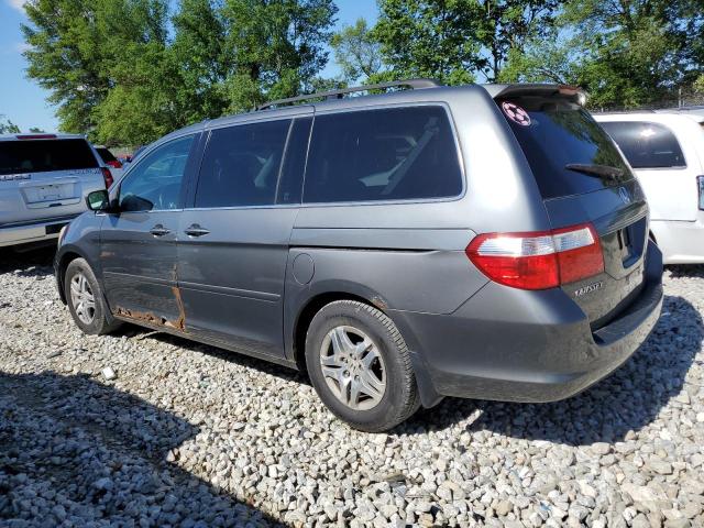 2007 Honda Odyssey Exl VIN: 5FNRL387X7B461722 Lot: 56037604