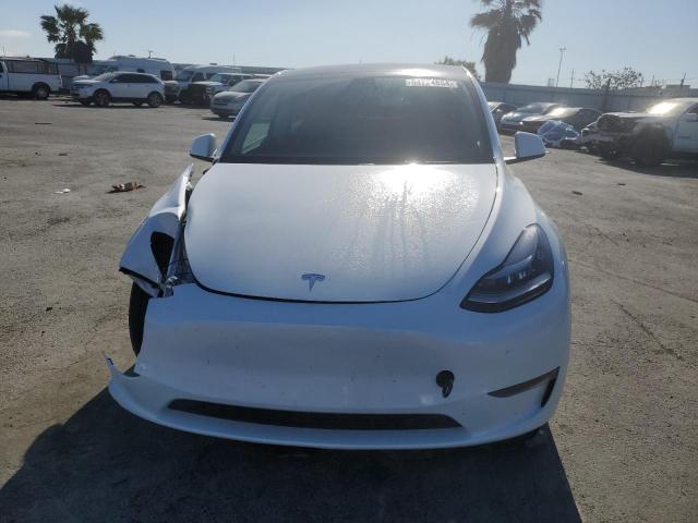 2023 Tesla Model Y VIN: 7SAYGDEE2PF613889 Lot: 54724854