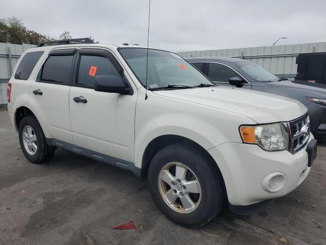 2010 Ford Escape Xlt VIN: 1FMCU0DG3AKD36218 Lot: 55647874