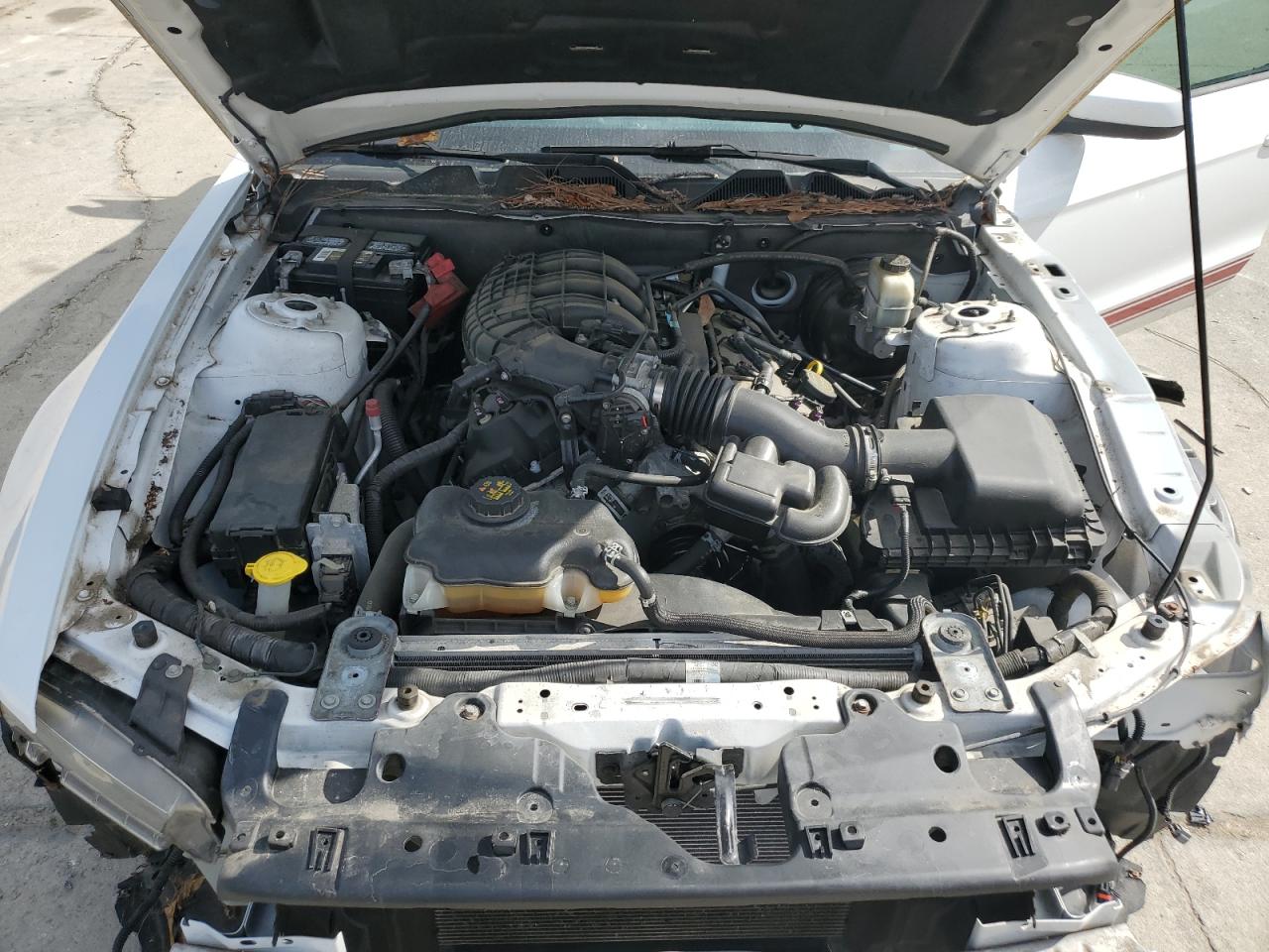 1ZVBP8AMXE5303413 2014 Ford Mustang