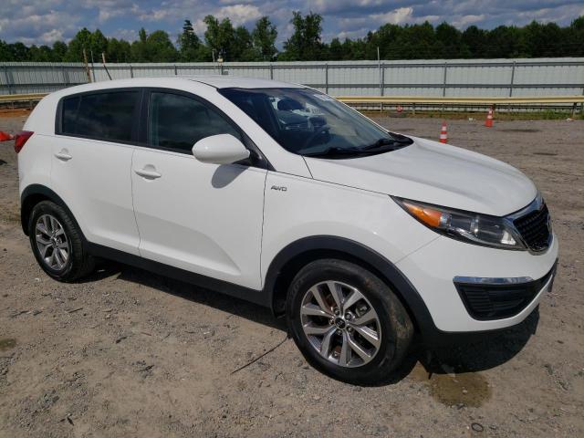 2015 Kia Sportage Lx VIN: KNDPBCAC3F7781793 Lot: 56871644