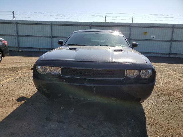 2011 Dodge Challenger VIN: 2B3CJ4DG2BH604075 Lot: 56999054