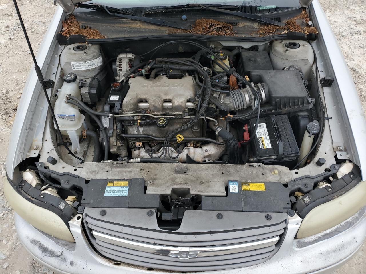 1G1ND52J116233003 2001 Chevrolet Malibu