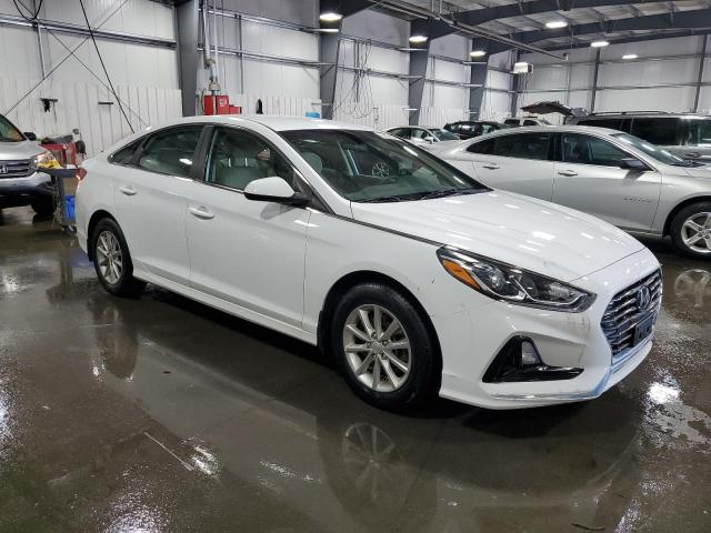 2019 Hyundai Sonata Se VIN: 5NPE24AF6KH796768 Lot: 55237404