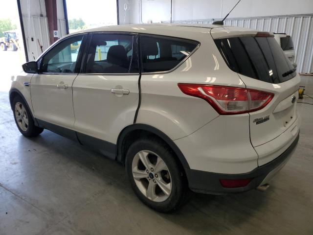 2014 Ford Escape Se VIN: 1FMCU9GXXEUD91212 Lot: 55327804