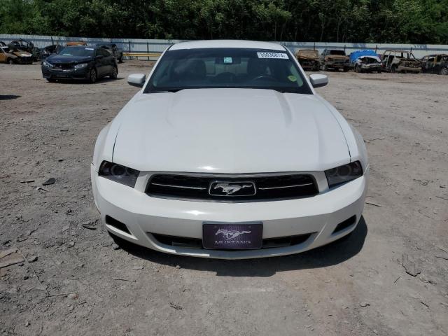 2010 Ford Mustang VIN: 1ZVBP8AN9A5105053 Lot: 55036874