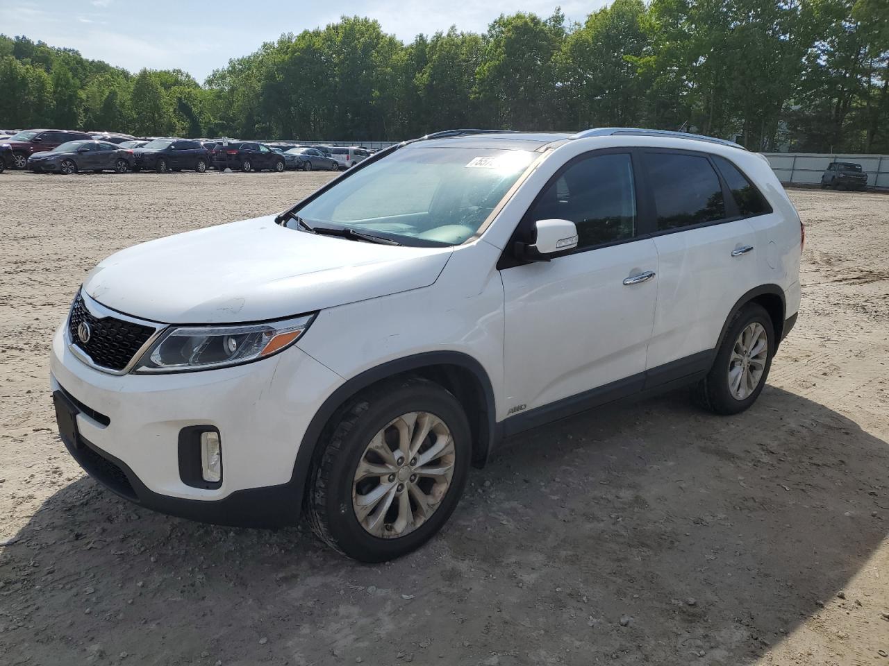 5XYKUDA76EG532502 2014 Kia Sorento Ex