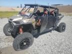 POLARIS RZR XP 4 T photo