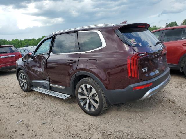 2021 Kia Telluride Sx VIN: 5XYP5DHC5MG162597 Lot: 55611134