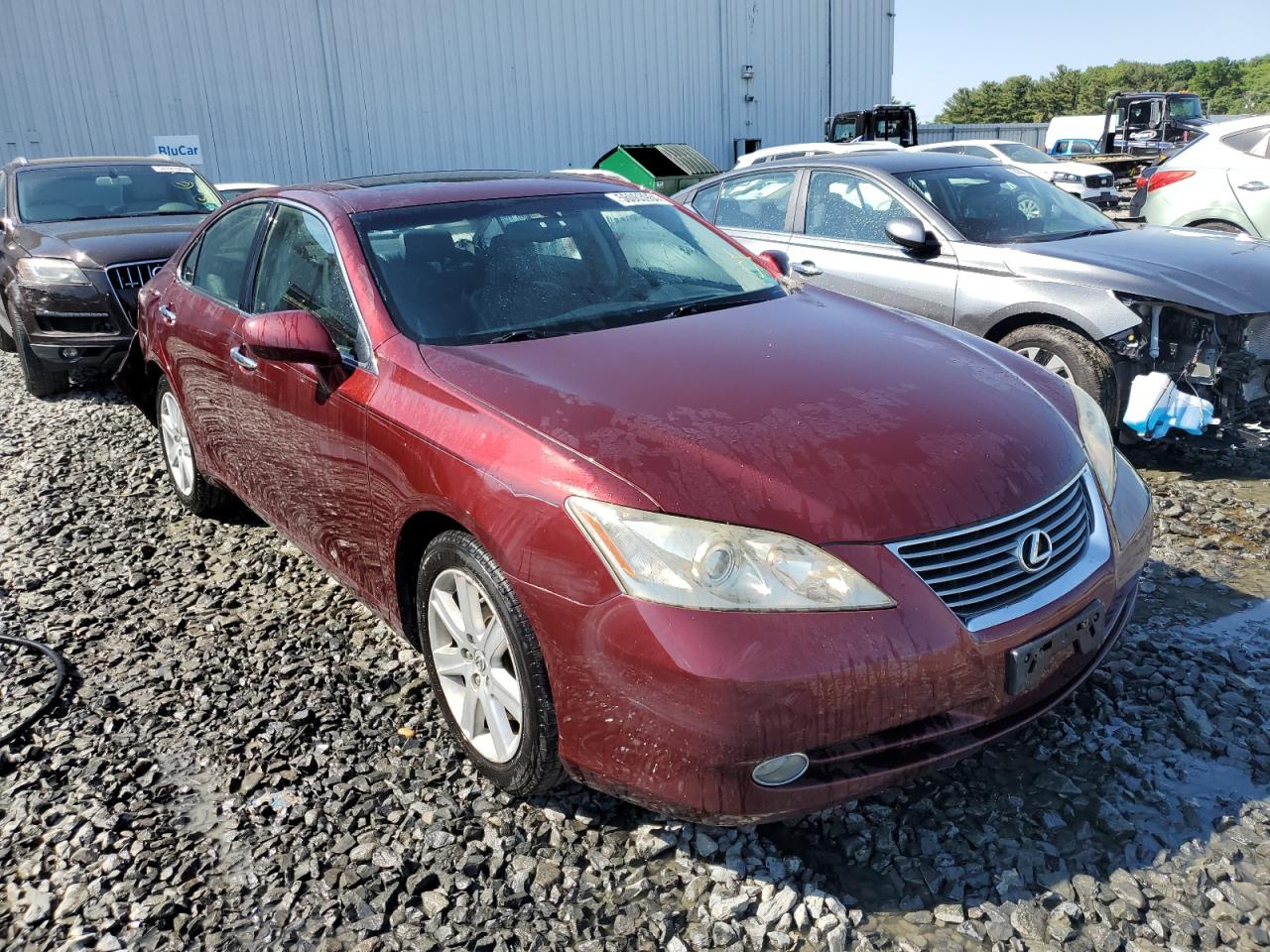 Lot #2567755345 2008 LEXUS ES 350