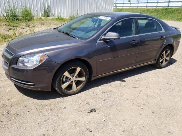 2011 Chevrolet Malibu 1Lt VIN: 1G1ZC5E19BF118229 Lot: 55739864