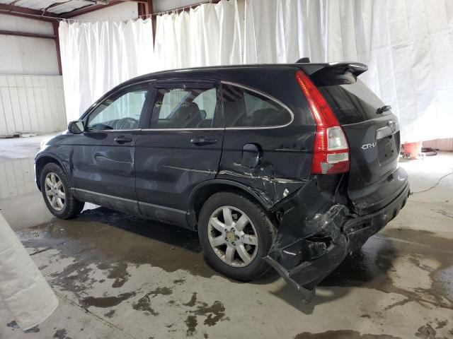 2009 Honda Cr-V Exl VIN: 5J6RE487X9L005682 Lot: 53249024