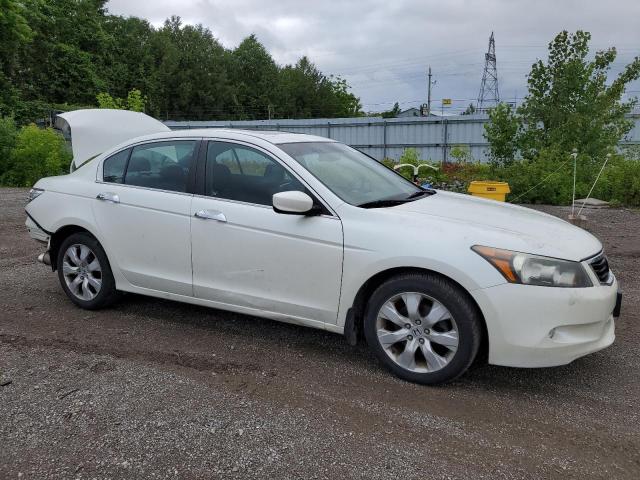 2008 Honda Accord Exl VIN: 1HGCP36868A803247 Lot: 56270974