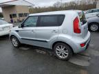 Lot #3033151019 2013 KIA SOUL +