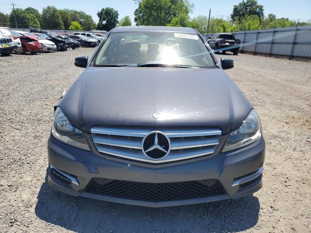 2013 Mercedes-Benz C 300 4Matic VIN: WDDGF8AB9DR283050 Lot: 53293184