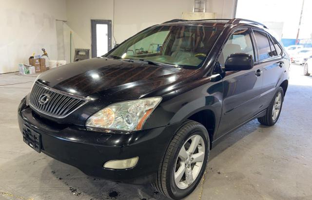 2004 Lexus Rx 330 VIN: JTJHA31U040019685 Lot: 54596474