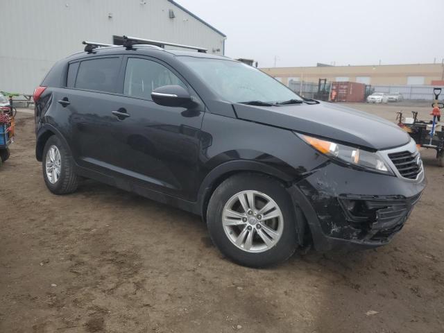 2011 Kia Sportage Lx VIN: KNDPB3A21B7116408 Lot: 52305084