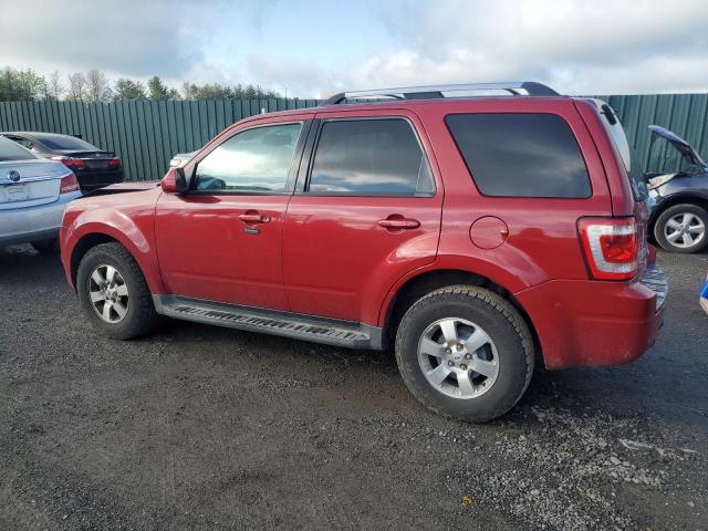 2010 Ford Escape Limited VIN: 1FMCU9EG6AKA52178 Lot: 54388514