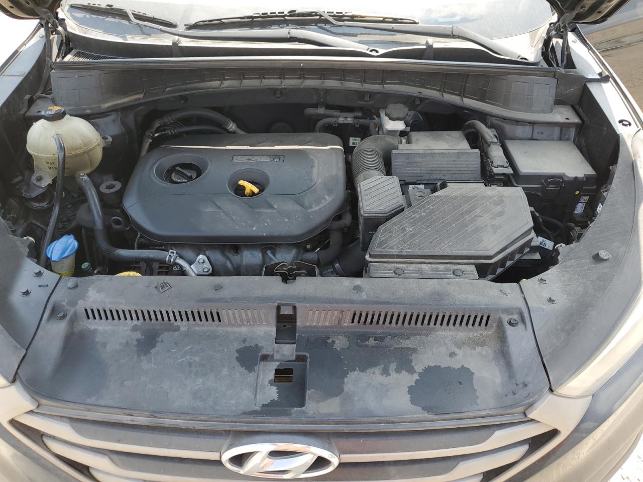 KM8J23A46GU233591 2016 Hyundai Tucson Se