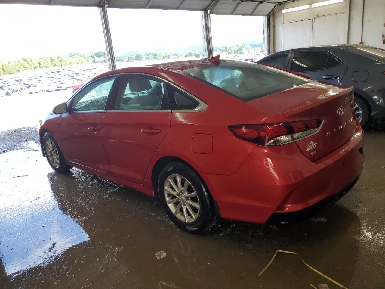 5NPE24AF3KH794833 2019 Hyundai Sonata Se