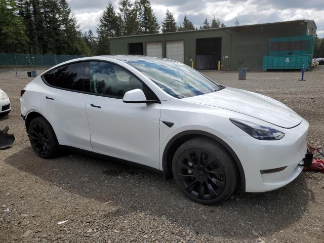 2023 Tesla Model Y VIN: 7SAYGDEE0PF676070 Lot: 55397564