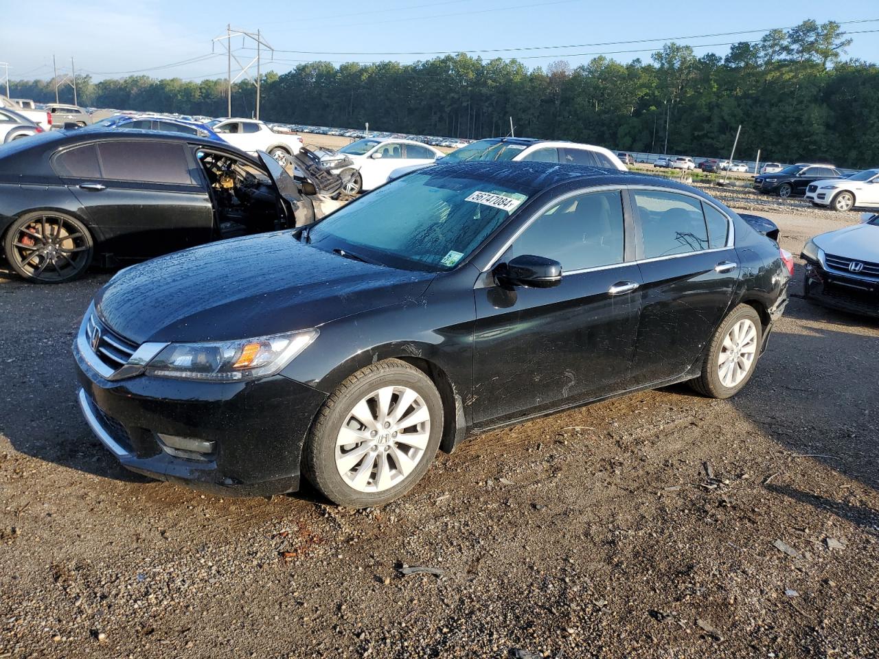 1HGCR2F76FA119274 2015 Honda Accord Ex