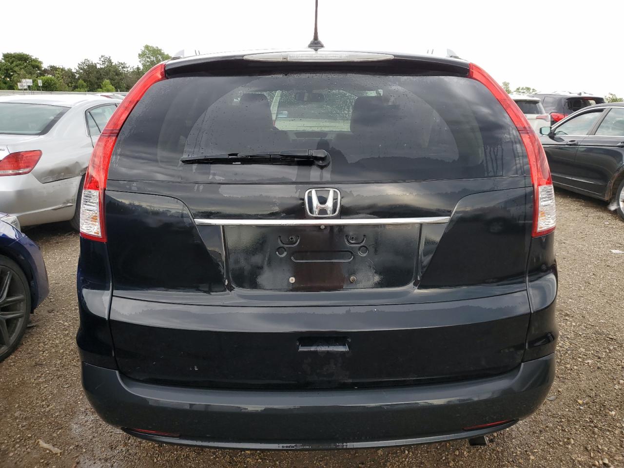 Lot #2558814950 2014 HONDA CR-V EXL