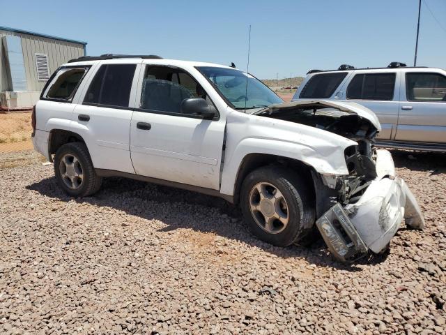 2007 Chevrolet Trailblazer Ls VIN: 1GNDS13S772291973 Lot: 56144374