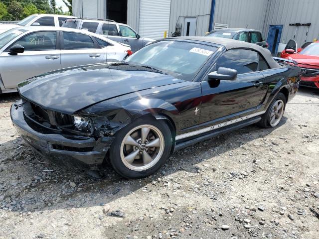 Lot #2533594177 2006 FORD MUSTANG salvage car