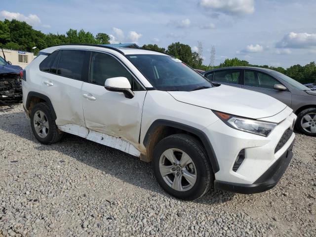 2019 Toyota Rav4 Xle VIN: JTMW1RFV6KD029867 Lot: 54933274