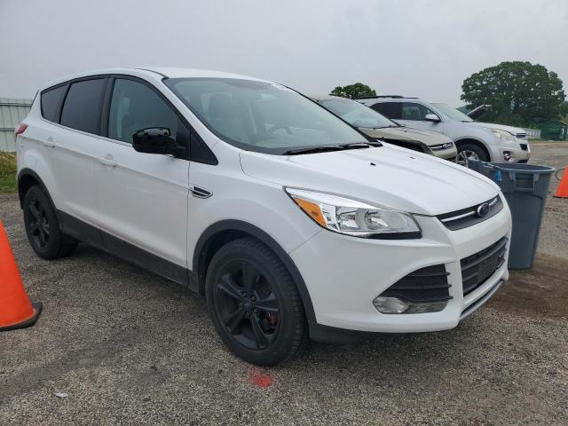 2014 Ford Escape Se VIN: 1FMCU9GX7EUC77135 Lot: 55402474