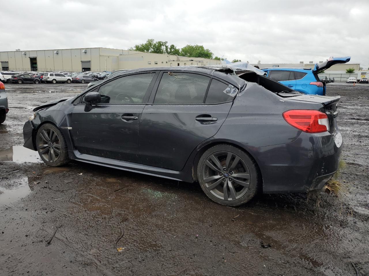 Lot #2612124826 2017 SUBARU WRX LIMITE