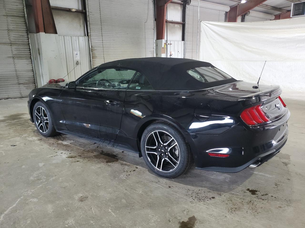 Lot #2572143969 2022 FORD MUSTANG