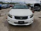 HONDA ACCORD EXL photo