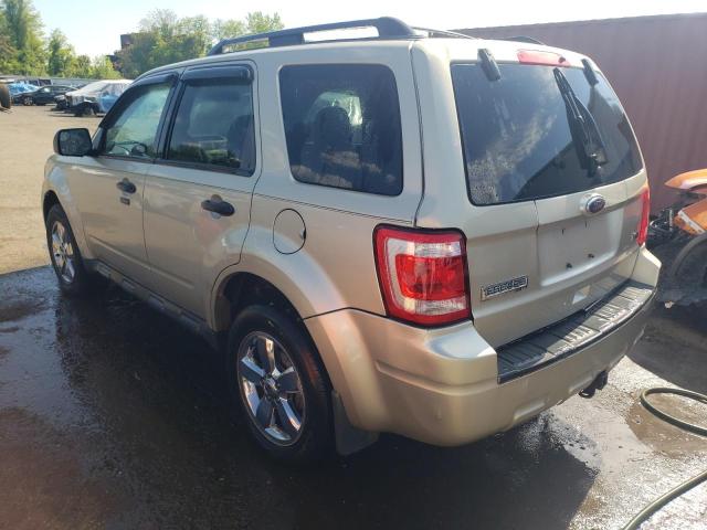 2010 Ford Escape Xlt VIN: 1FMCU9DG2AKD31726 Lot: 54623464