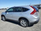 HONDA CR-V EX photo