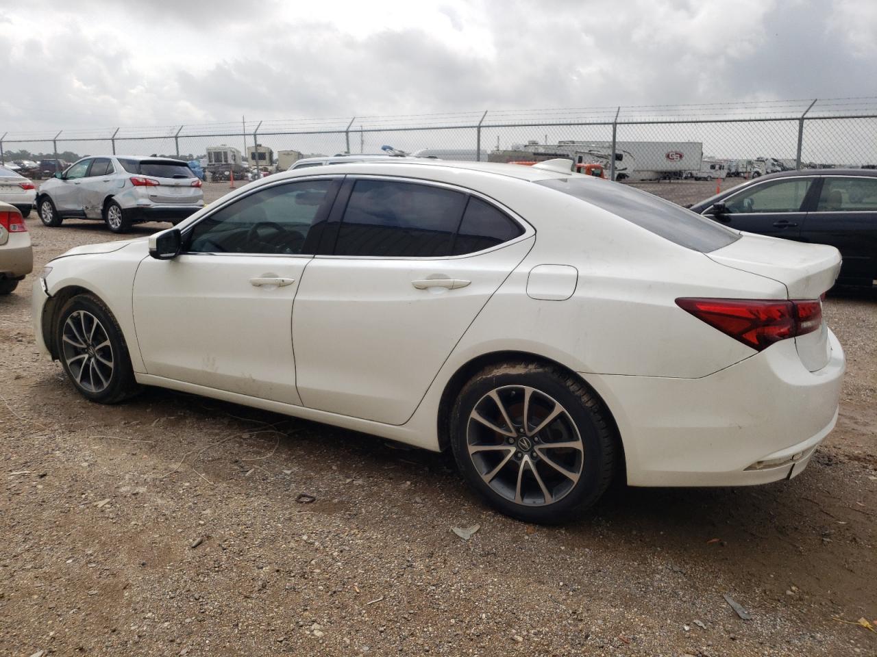 Lot #3041908892 2016 ACURA TLX